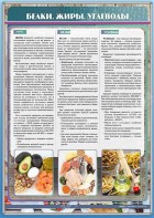 Стенд "Белки. Жиры. Углеводы" - fgospostavki.ru - Челябинск