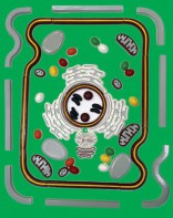 Модель-аппликация "Строение клетки" (набор из 54 пластмассовых фигур) - fgospostavki.ru - Челябинск