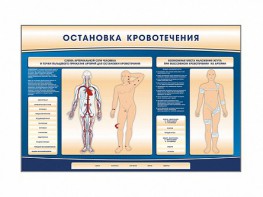 Электрифицированный стенд-тренажер "Остановка кровотечения" - fgospostavki.ru - Челябинск