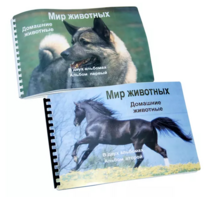 Пособие для слабовидящих - Домашние животные - fgospostavki.ru - Челябинск