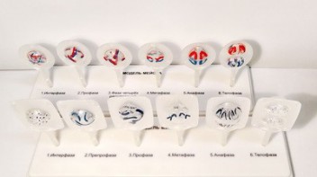 Модель "Митоз и мейоз клетки" - fgospostavki.ru - Челябинск