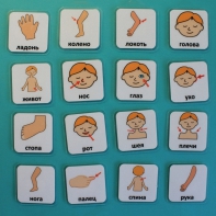 Набор карточек "Части тела" - fgospostavki.ru - Челябинск