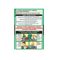 Комплект таблиц. ОБЖ. Правила оказания первой медицинской помощи - fgospostavki.ru - Челябинск