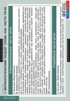 Комплект таблиц. Русский язык. Морфология. 5-11 классы. - fgospostavki.ru - Челябинск