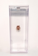 Влажный препарат "Паук" - fgospostavki.ru - Челябинск