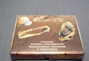 Коллекция "Формы сохранности ископаемых растений и животных" - fgospostavki.ru - Челябинск