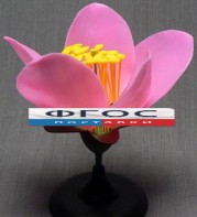 Модель "Цветок персика" - fgospostavki.ru - Челябинск