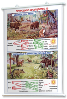 Плакаты по географии России для оформления кабинета. - fgospostavki.ru - Челябинск