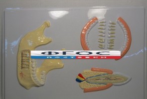 Модель барельефная "Челюсть человека" - fgospostavki.ru - Челябинск