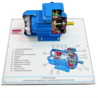 Стенд-планшет «Асинхронный двигатель с короткозамкнутым ротором» - fgospostavki.ru - Челябинск