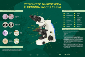 Электрифицированный стенд "Устройство микроскопа и правила работы c ним" - fgospostavki.ru - Челябинск