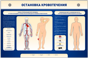 Электрифицированный стенд-тренажер "Остановка кровотечения" - fgospostavki.ru - Челябинск
