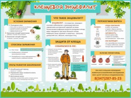 Стенд "Клещевой энцефалит" - fgospostavki.ru - Челябинск