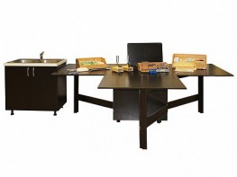 Многофункциональный мобильный лабораторный комплекс для малокомплектных школ по предметам физика, химия, биология - fgospostavki.ru - Челябинск