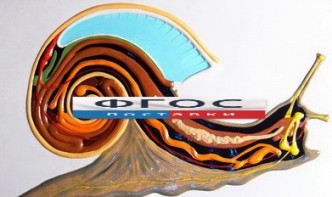 Модель барельефная "Внутреннее строение брюхоногого моллюска" - fgospostavki.ru - Челябинск