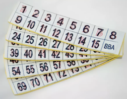 Фишки для игры «Бинго» со шрифтом Брайля - fgospostavki.ru - Челябинск