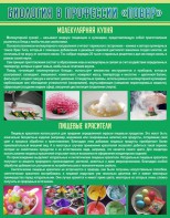 Стенд "Биология в профессии "повар"" - fgospostavki.ru - Челябинск
