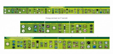 Стенд "Классификация групп животных" - fgospostavki.ru - Челябинск