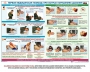 Комплект плакатов "Оказание первой доврачебной медицинской помощи" - fgospostavki.ru - Челябинск