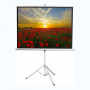 Экран на штативе DSKD-4303 - fgospostavki.ru - Челябинск