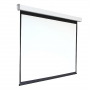 Экран настенный с электроприводом DSEF-16909 - fgospostavki.ru - Челябинск